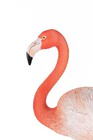 Dekoracja Stojąca Flamingo Road 16x34x75 Różowy (9)